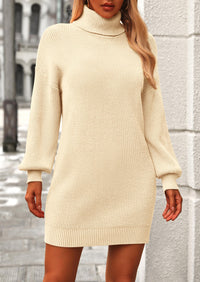 Women's Long Sleeve Sweater Dress 2024 Fall Knit Turtleneck Sweaters Pullover Loose Mini Dresses