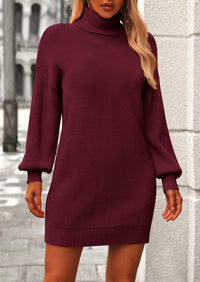 Women's Long Sleeve Sweater Dress 2024 Fall Knit Turtleneck Sweaters Pullover Loose Mini Dresses