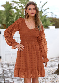 BTFBM Spring Dresses for Women 2026 Long Sleeve Casual V Neck Swiss Dot Smocked Ruffle Chiffon Flowy Mini Summer Dress PRETTYGARDEN