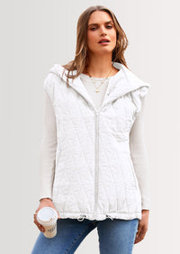 PRETTYGARDEN Women's Fall Spring Vest Casual Sleeveless Hooded Zip Up Jacket Trendy Winter Coat Outerwear PRETTYGARDEN