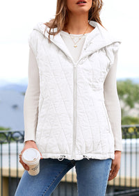 PRETTYGARDEN Women's Fall Spring Vest Casual Sleeveless Hooded Zip Up Jacket Trendy Winter Coat Outerwear PRETTYGARDEN