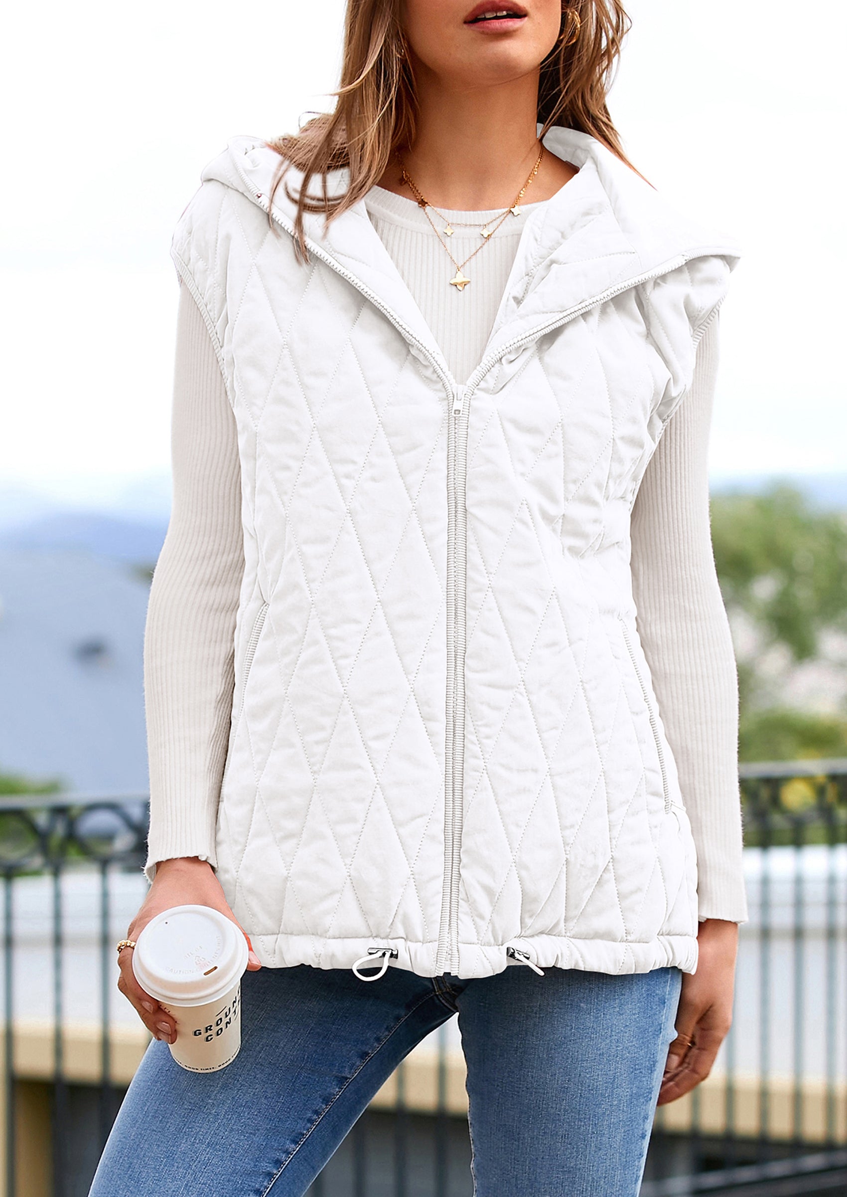 PRETTYGARDEN Women's Fall Spring Vest Casual Sleeveless Hooded Zip Up Jacket Trendy Winter Coat Outerwear PRETTYGARDEN