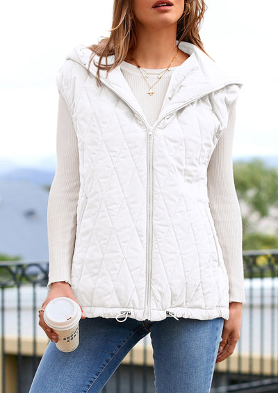 PRETTYGARDEN Women's Fall Spring Vest Casual Sleeveless Hooded Zip Up Jacket Trendy Winter Coat Outerwear PRETTYGARDEN