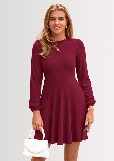 PRETTYGARDEN Womens Long Sleeve Mini Dress Fall Crewneck Ribbed Knit Soft A Line Flowy Casual Short Dresses with Pockets