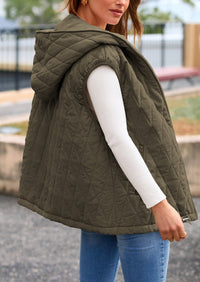 PRETTYGARDEN Women's Fall Spring Vest Casual Sleeveless Hooded Zip Up Jacket Trendy Winter Coat Outerwear PRETTYGARDEN