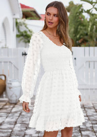 BTFBM Spring Dresses for Women 2026 Long Sleeve Casual V Neck Swiss Dot Smocked Ruffle Chiffon Flowy Mini Summer Dress PRETTYGARDEN