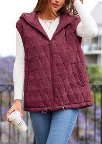 PRETTYGARDEN Women's Fall Spring Vest Casual Sleeveless Hooded Zip Up Jacket Trendy Winter Coat Outerwear PRETTYGARDEN