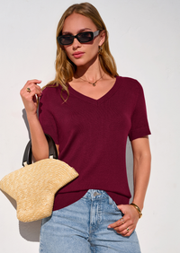 PRETTYGARDEN Womens Short Sleeve Sweater V Neck Trendy Pullover Tops Summer Spring Loose Lightweight Casual Blouse PRETTYGARDEN