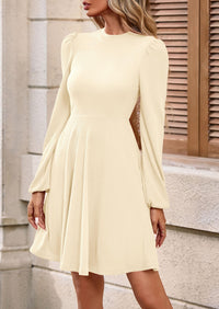 PRETTYGARDEN Womens Long Sleeve Mini Dress Fall Crewneck Ribbed Knit Soft A Line Flowy Casual Short Dresses with Pockets