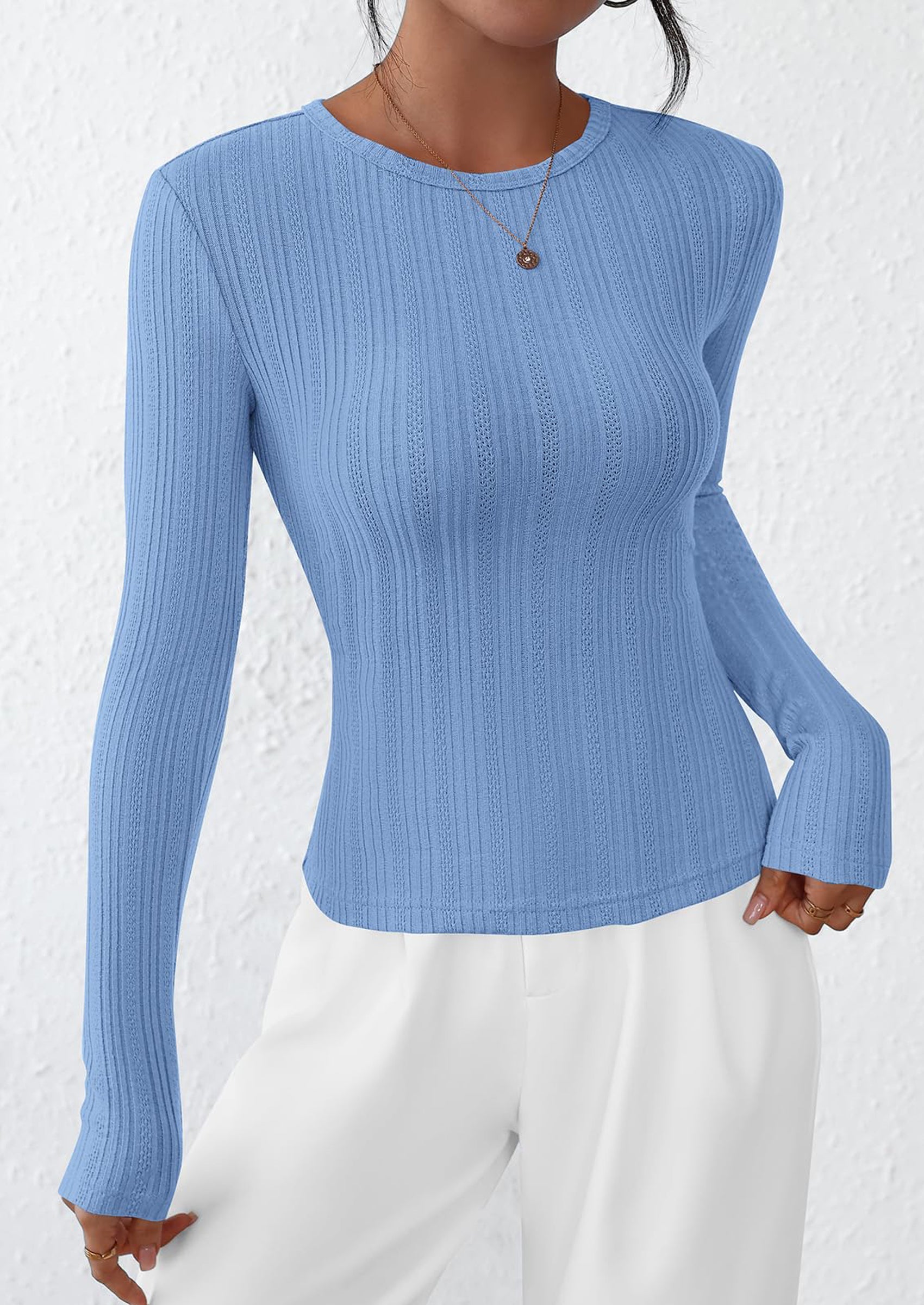 PRETTYGARDEN Crew Neck Long Sleeve Cute Going Out Tops for Women Casual Basic Slim Fit Womens Pullover Shirts PRETTYGARDEN