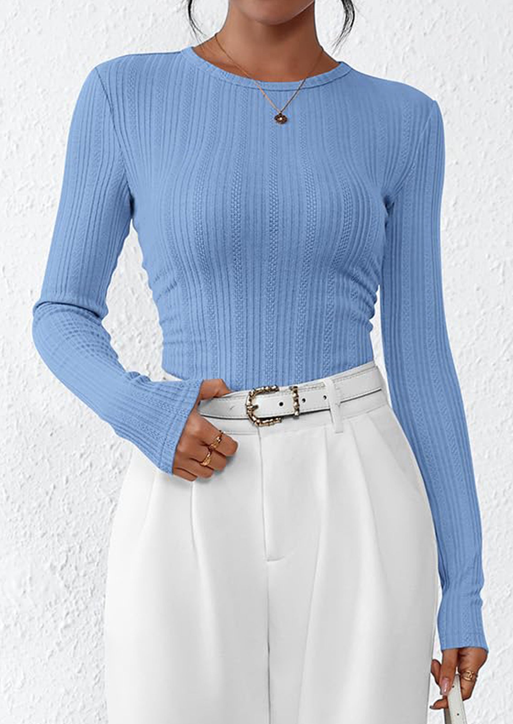 PRETTYGARDEN Crew Neck Long Sleeve Cute Going Out Tops for Women Casual Basic Slim Fit Womens Pullover Shirts PRETTYGARDEN