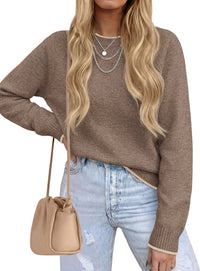 PRETTYGARDEN Womens Crewneck Fall Sweaters Pullover Tops | Soft Stretchy Knit,Reglan Long Sleeve,Ribbed Cuffs,Color Block,Casual Daily Outfits,Office Work Clothes,Winter Layering Wear