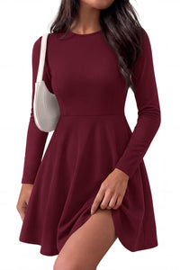 PRETTYGARDEN Women Basic Long Sleeve Crewneck Mini Dress