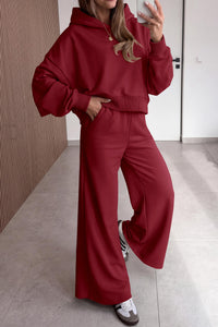 PRETTYGARDEN Women 2 Piece Lounge Sets Long Sleeve Hoodies Wide Leg Sweatpants Sweatsuits Workout Set Fall Outfits 2026