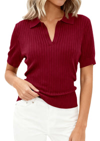 PRETTYGARDEN Women's Short Sleeve Sweater 2026 Spring Polo Shirts Ribbed Knit V Neck Business Casual Tops Summer Work Clothes PRETTYGARDEN
