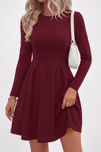 PRETTYGARDEN Women Basic Long Sleeve Crewneck Mini Dress