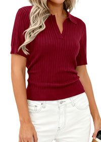PRETTYGARDEN Women's Short Sleeve Sweater 2026 Spring Polo Shirts Ribbed Knit V Neck Business Casual Tops Summer Work Clothes PRETTYGARDEN