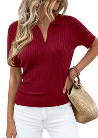 PRETTYGARDEN Women's Short Sleeve Sweater 2026 Spring Polo Shirts Ribbed Knit V Neck Business Casual Tops Summer Work Clothes PRETTYGARDEN