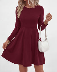 PRETTYGARDEN Women Basic Long Sleeve Crewneck Mini Dress