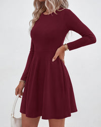 PRETTYGARDEN Women Basic Long Sleeve Crewneck Mini Dress