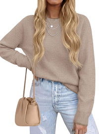 PRETTYGARDEN Womens Crewneck Fall Sweaters Pullover Tops | Soft Stretchy Knit,Reglan Long Sleeve,Ribbed Cuffs,Color Block,Casual Daily Outfits,Office Work Clothes,Winter Layering Wear