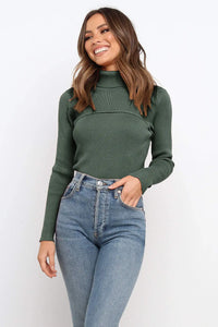 Turtleneck Bodycon Long Sleeves Knit  Sweater PRETTYGARDEN